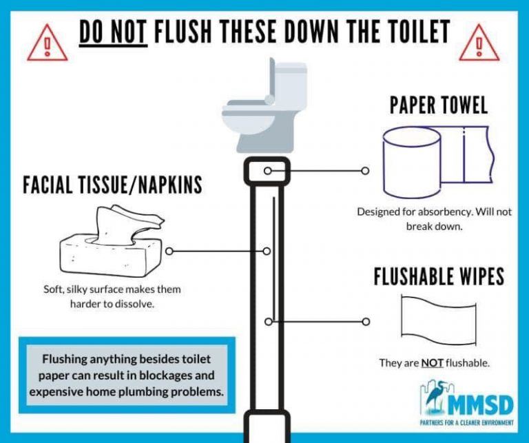 Do-Not-Flush-768x643