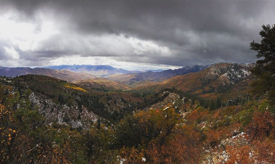 Photo Credit Candice Nielson