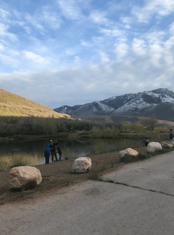 Screenshot 2022-09-26 123314