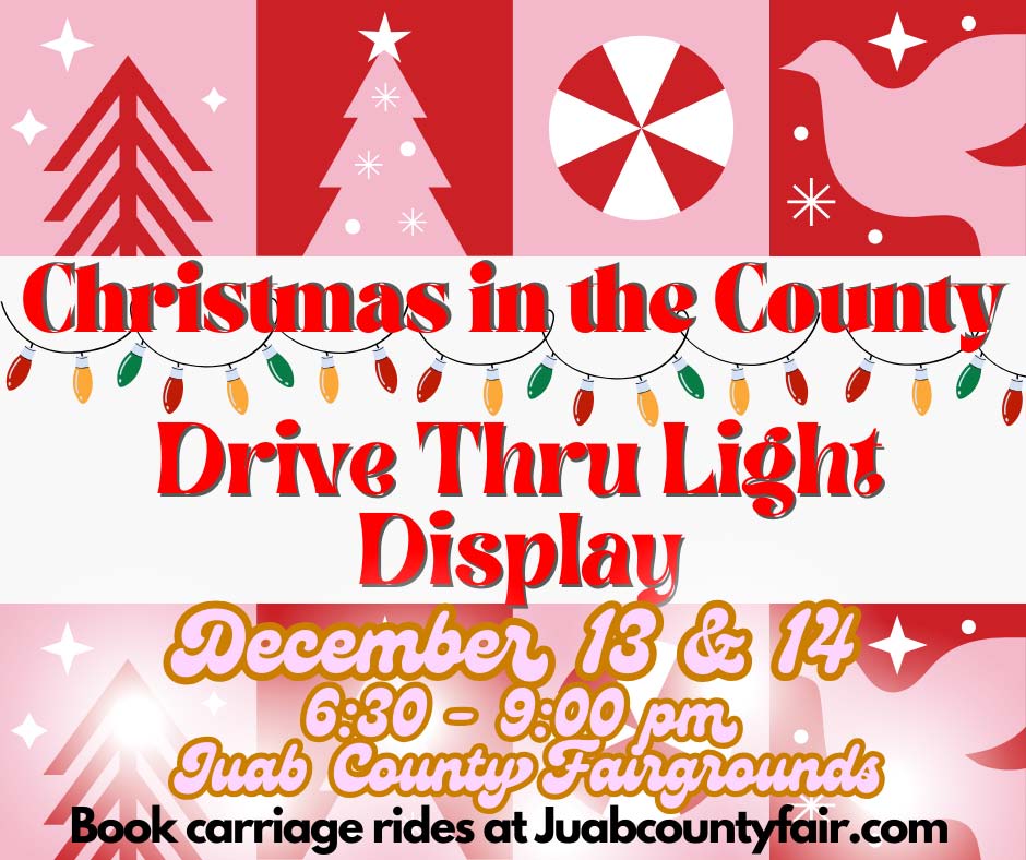 Drive Thru Light Display Social