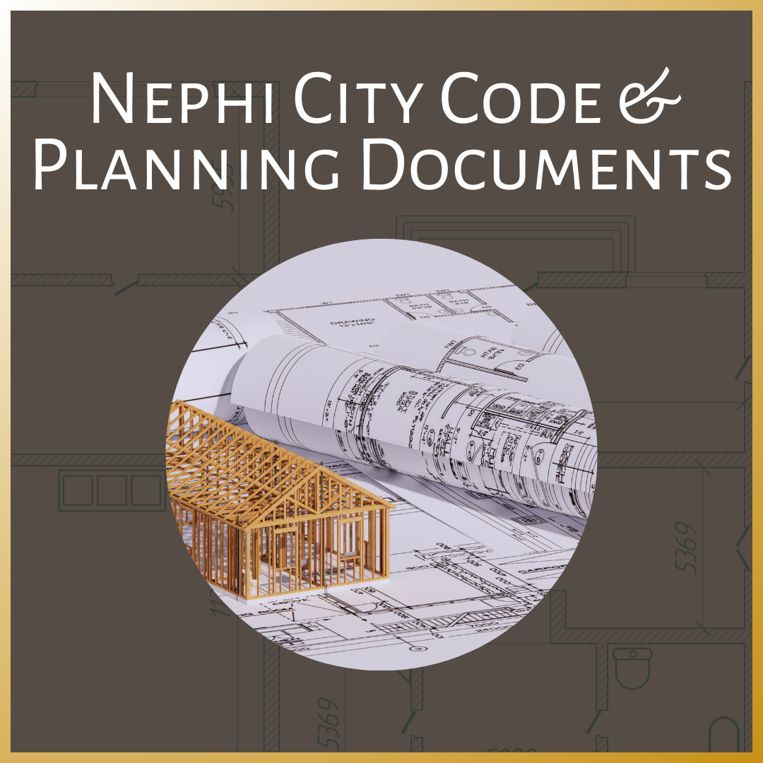 City Code and Planning Document Button