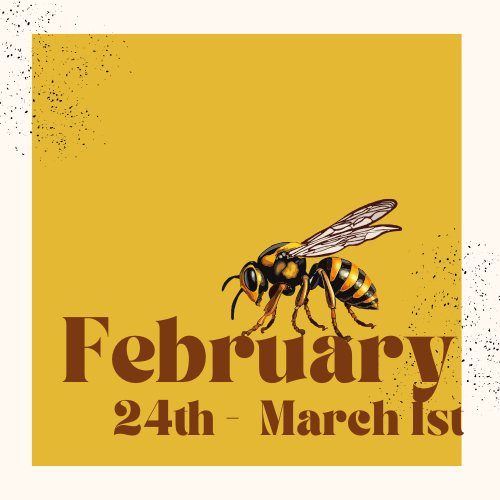 February 2025 HIVE 2