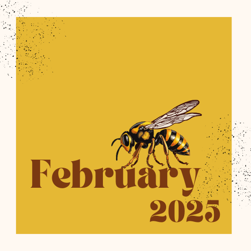 February 2025 HIVE