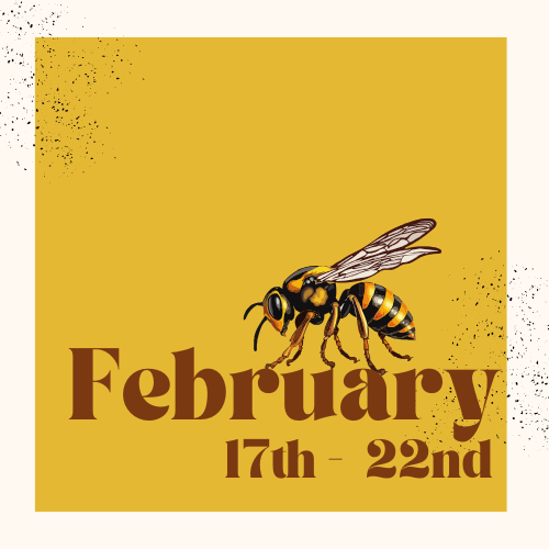 February 2025 HIVE 11