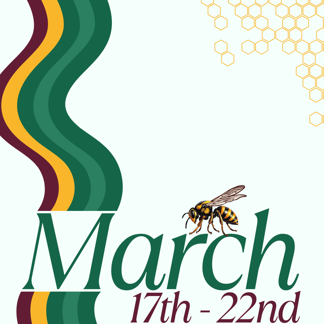 March 3 HIVE