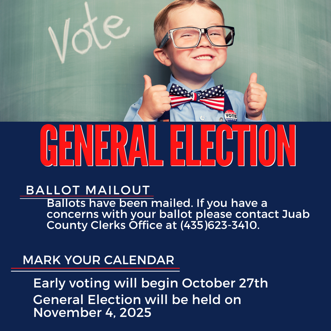 General Election (instagram) 2025