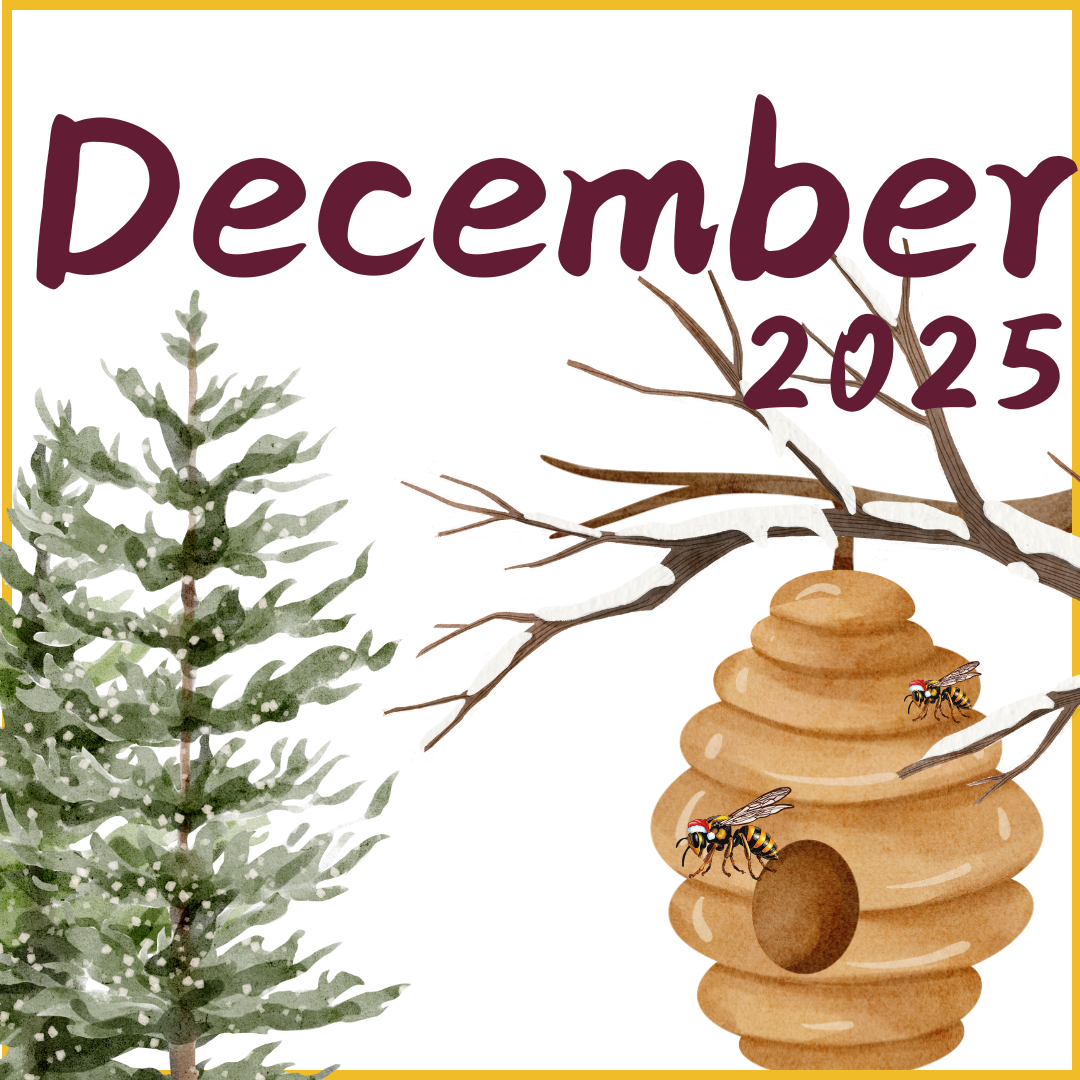 HIVE December  2025 HIVE