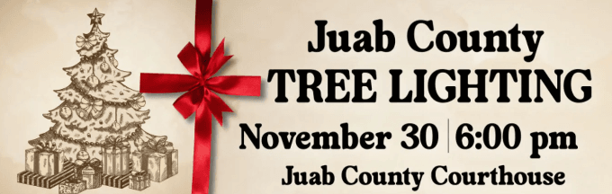 Christmas tree lighting